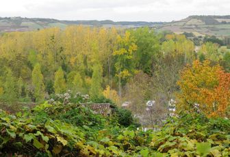 Cordes sur Ciel (81)