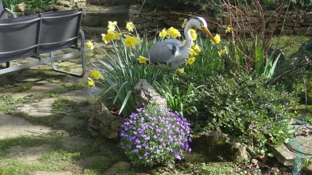 Au Mois de Mars, le Jardin se Réveille Enfin...