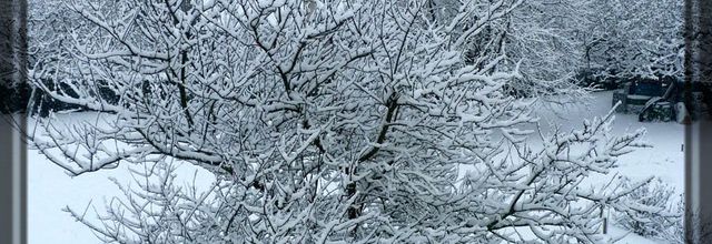Jour blanc
