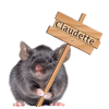 732 - Souris grise - gif animé, blinkie, signature