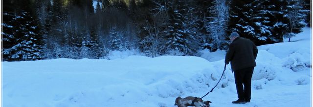 TOPH & PIF HIVER 2024 