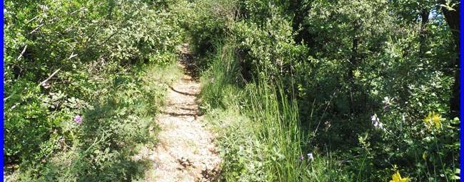 Rougiers : le Castrum St Jean et la fontaine de Guillandière