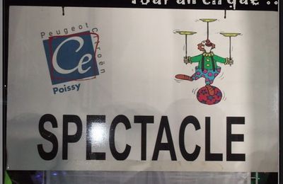 Tout un cirque
