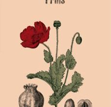 Descargas gratuitas para libros en mp3. PRINS 9788439734352 de CESAR AIRA in Spanish CHM RTF iBook