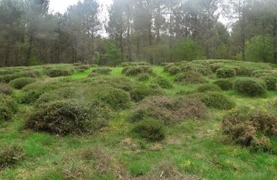 Le sentier des mégalithes à Kerzerho - Erdeven - Morbihan - Mané-Croc’h - Crucuno