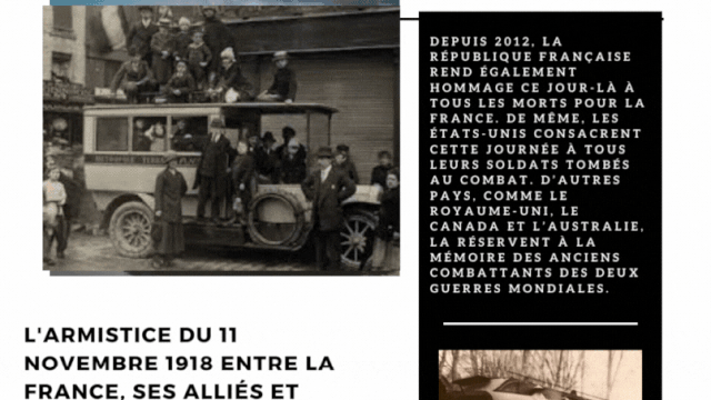 11 novembre