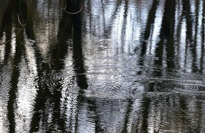 Metz / Février au plan d'eau...