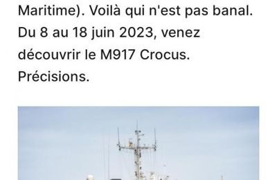 Armada de Rouen visite et balade sur un chasseur de mines