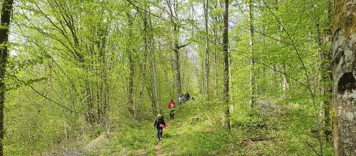 RANDO DU LUNDI 10 MAI ET CR RANDO DU LUNDI 3 MAI 2021 