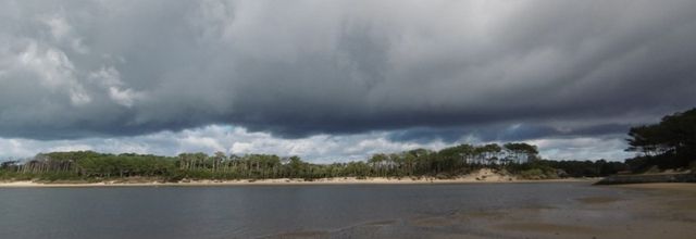 Une balade autour du Lac de VIEUX BOUCAU (40), le 21 janvier (suite)....
