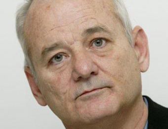 BILL MURRAY BOX OFFICE