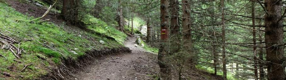 Sous la Montagne du Tigneux, le lac des Naves n'a pas voulu