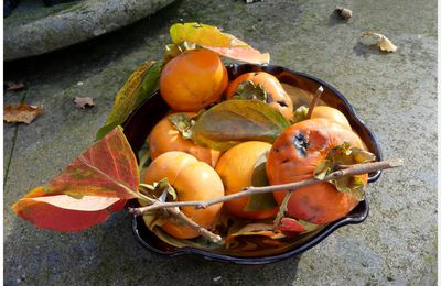 plaqueminier et ses fruits