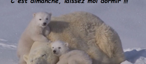 Bonjour et Bon dimanche à tous