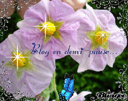 Blog en demi-pause pour cause voyage...