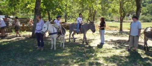 BALADE à dos d'ânes 2010