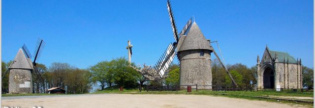 85 . Vendée - Les Herbiers (9) - Mont des Alouettes