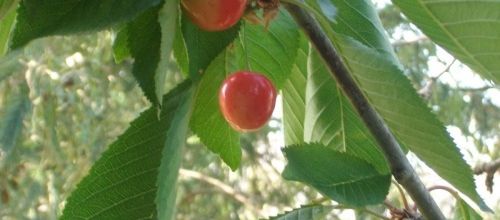 un rendez-vous manqué