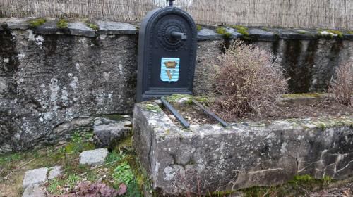 "Autour du Bois Falcon" - Mercredi 08 mars 2023