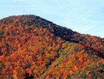 Vers le refuge de L'Estrop #1