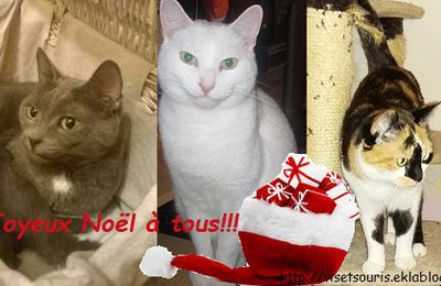 Joyeuses Fêtes