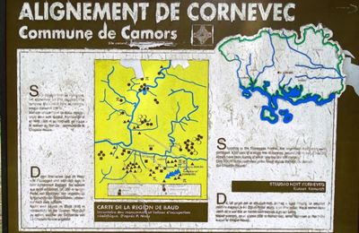 Les alignements de Cornevec - Forêt de Florange Camors - Les alignements