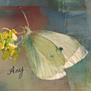 any.