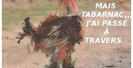 Le coq déplumé