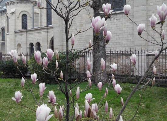 Extraits de livres lus :  Renaître des pertes de la vie  L?étonnant pouvoir du spirituel (2)