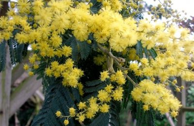 éloge du mois de février...