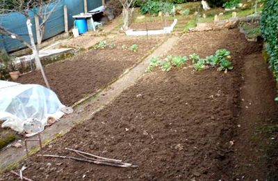 Le jardinage comme l'ancien temps ,une passion vieille et dictée par  ......nos anciens