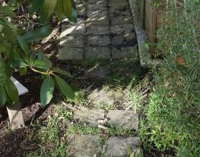 Petit chemin pavé, la suite