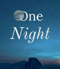 Download PDF One Night