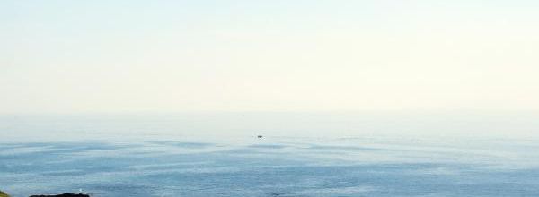 Horizon