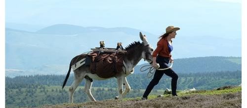 Antoinette dans les Cévennes (2020)