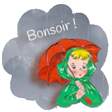 Bonne soirée-Bonsoir, fin de journee