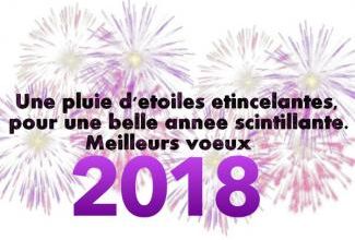 BONNE ANNÉE 2018 - HAPPY NEW YEAR 
