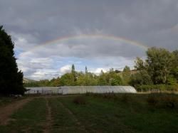 De leurs champs à la boutique (1)