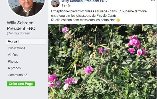 La meilleure du petit chef des chiasseurs français : il confond "pois de senteur (Lathyrus odoratus)" et "orchidée"