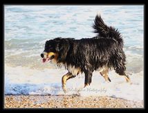 Course au bâton à la mer...