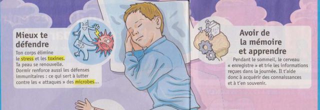 A quoi ça sert de dormir ?  - Lecture et questionnaire