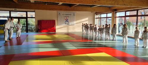 1er District POUSSINS (NES) Hoymille
