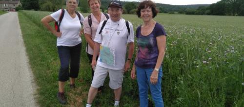 RANDO DU LUNDI 3 JUIN