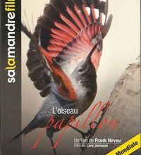 Le Tichodrome échelette,- l'oiseau papillon- à Nantes !