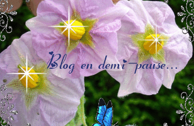 Demi- pause...pour diverses occupations