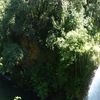 CARCES : dimanche 6 juin