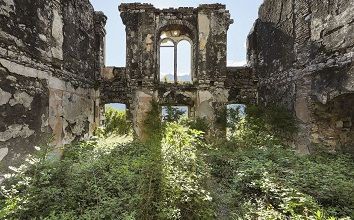 Quand la nature reprend ses droits ... 