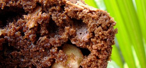 Cake chocolat • noisettes