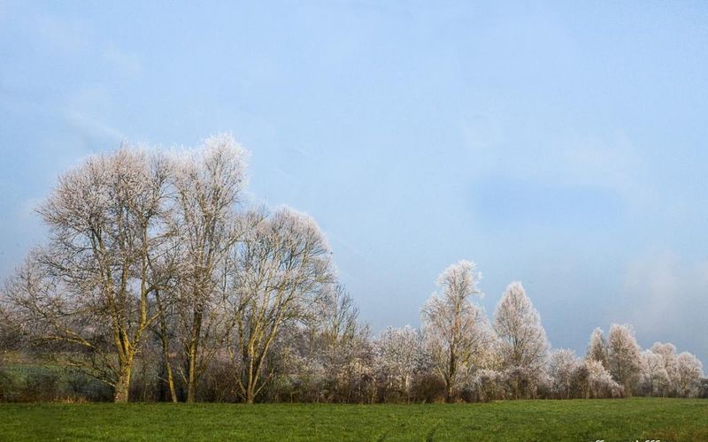 Pas encore de la neige,  mais.....