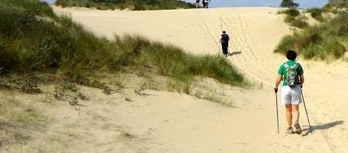 Sortie à la journée de Leffrinckoucke-La Panne Aller-Retour